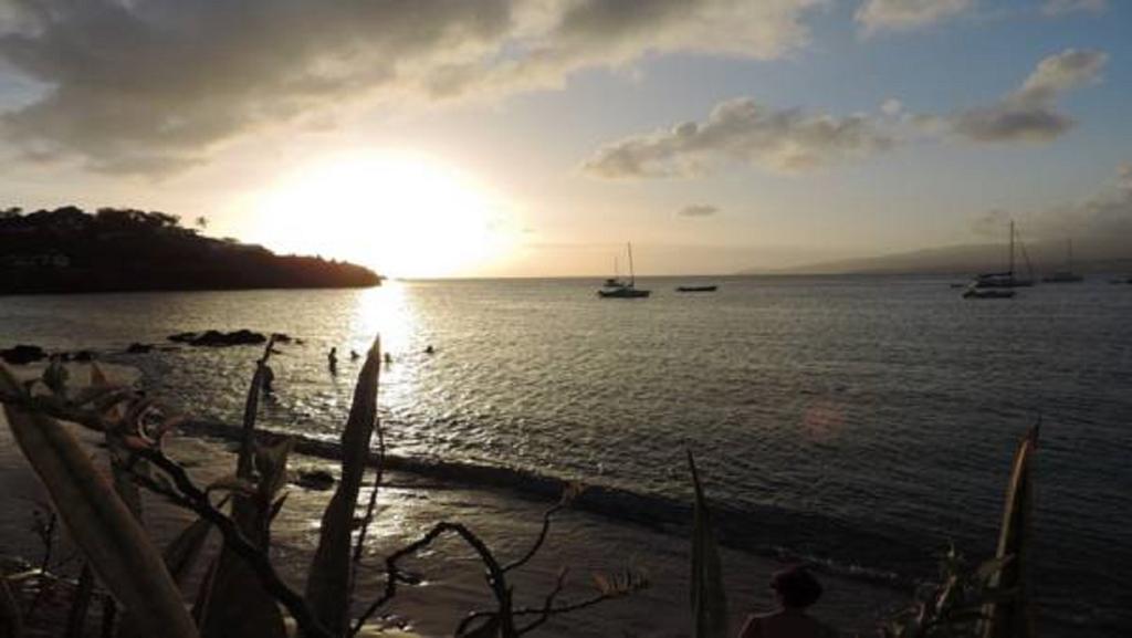 شقة Ocean Bayalocation L'Anse Mitan المظهر الخارجي الصورة